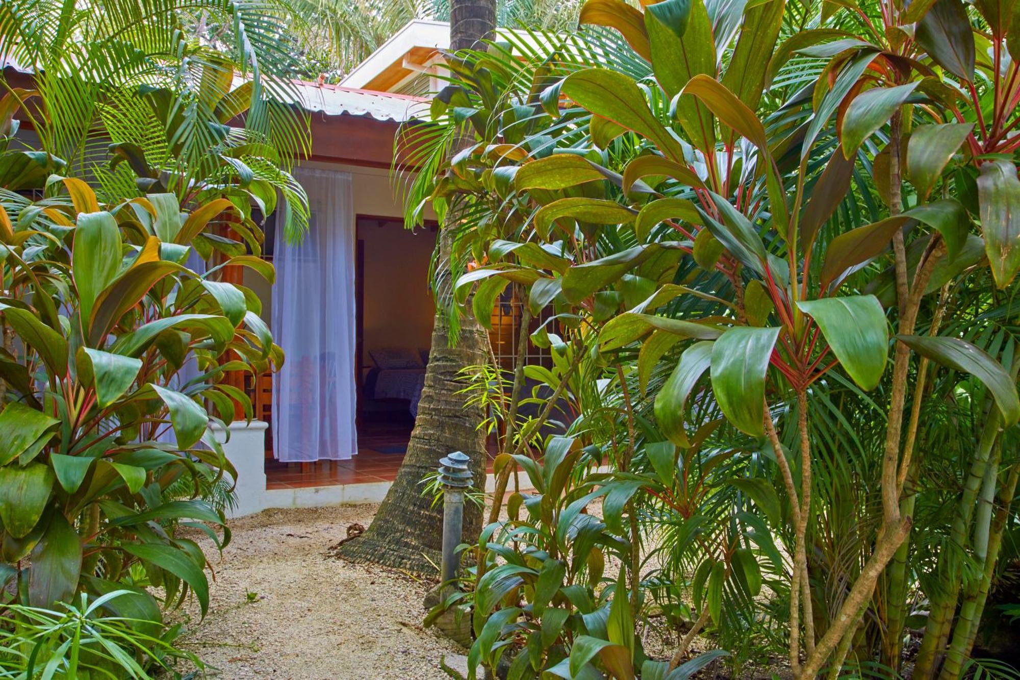 Living Hotel Nosara Værelse billede